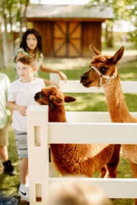 SouthDakotaWeddingPlannerOnABudget6